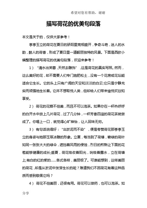 描写荷花的优美句段落