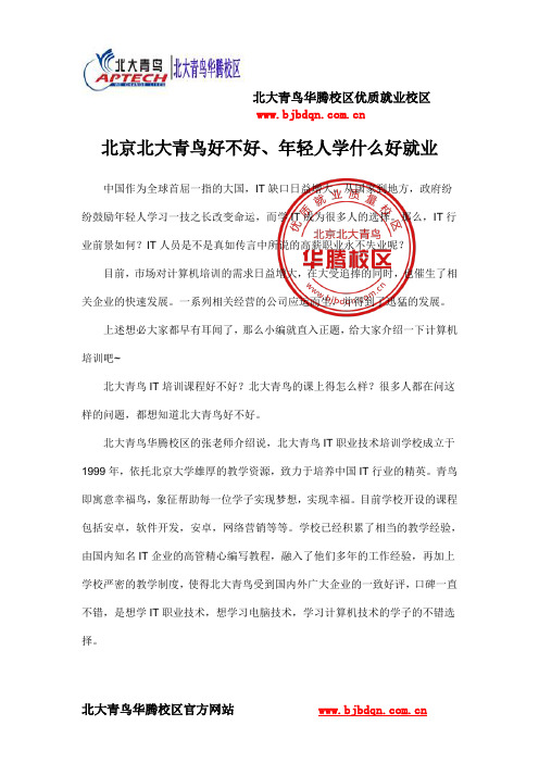 北京北大青鸟好不好、年轻人学什么好就业