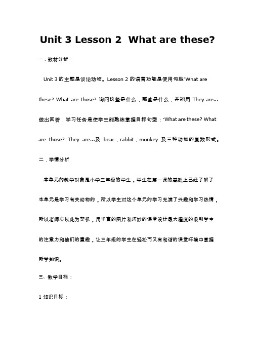 小学英语《What are these(3)》优质教案、教学设计