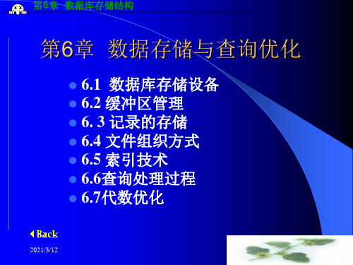 第6章--数据库存储结构PPT课件