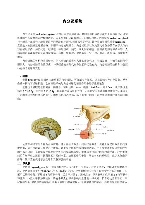 系统解剖学第二十一章内分泌系统