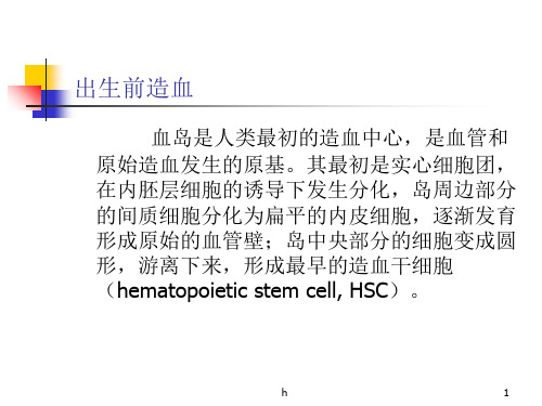 《检验科讲座》PPT课件