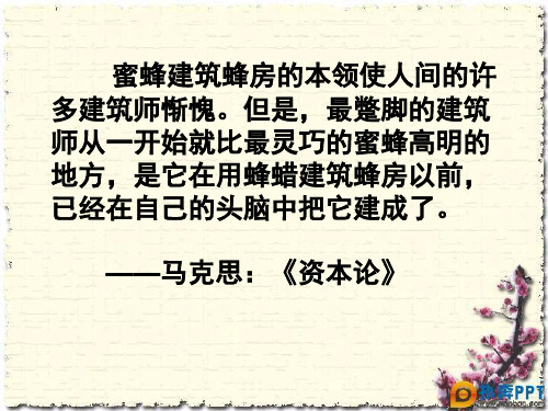 主观能动性PPT