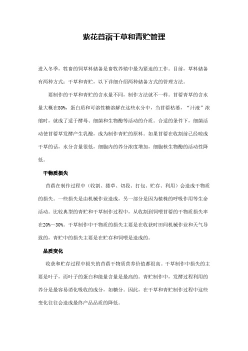 紫花苜蓿干草和青贮管理