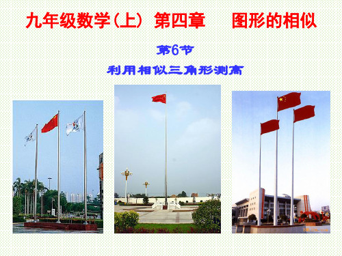 4.6九年级数学上册第四章第六节利用相似三角形测高-新北师大版