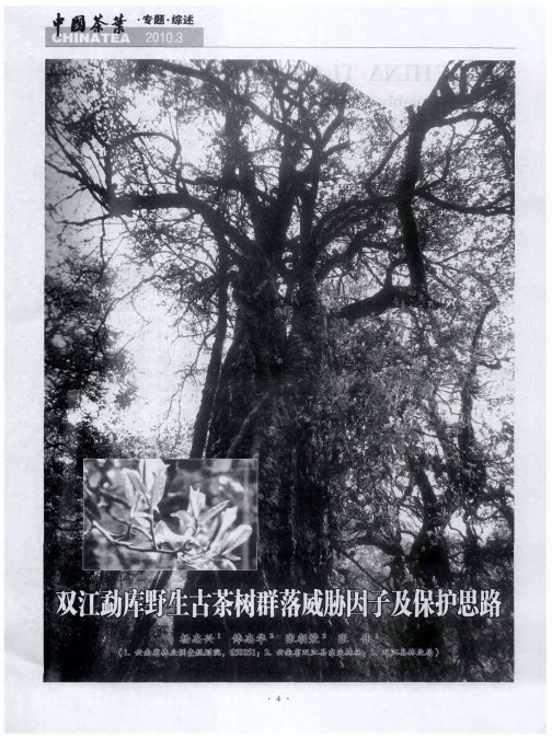 双江勐库野生古茶树群落威胁因子及保护思路
