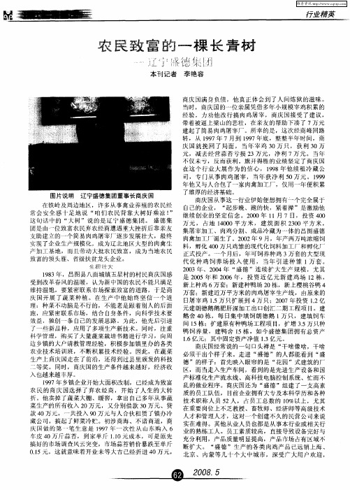 农民致富的一棵长青树——辽宁盛德集团