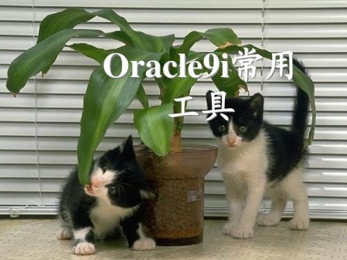 第八章  Oracle9i常用工具