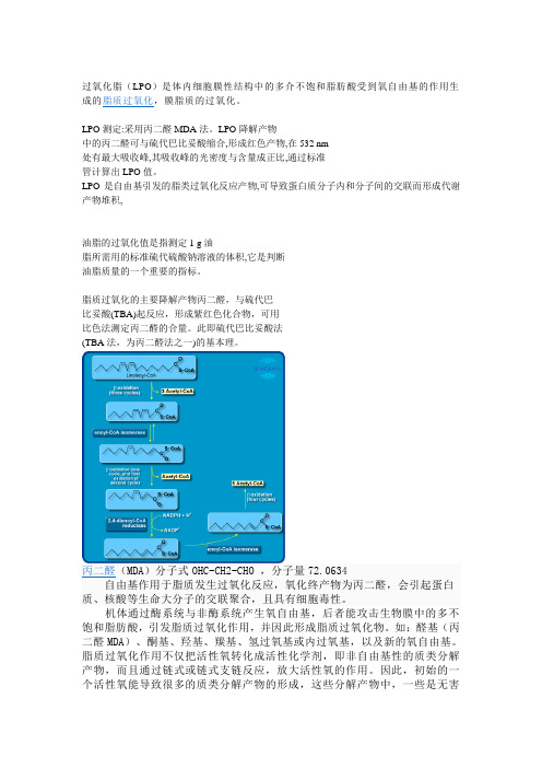 脂肪氧化