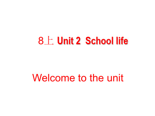 江苏省永丰初级中学牛津译林版八年级英语上册Unit2Welcometotheunit课件(共28张PPT)