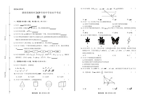 (高清版)2019年湖南省湘西中考数学试卷