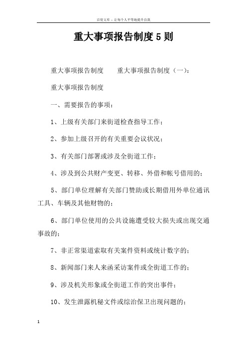 重大事项报告制度5则