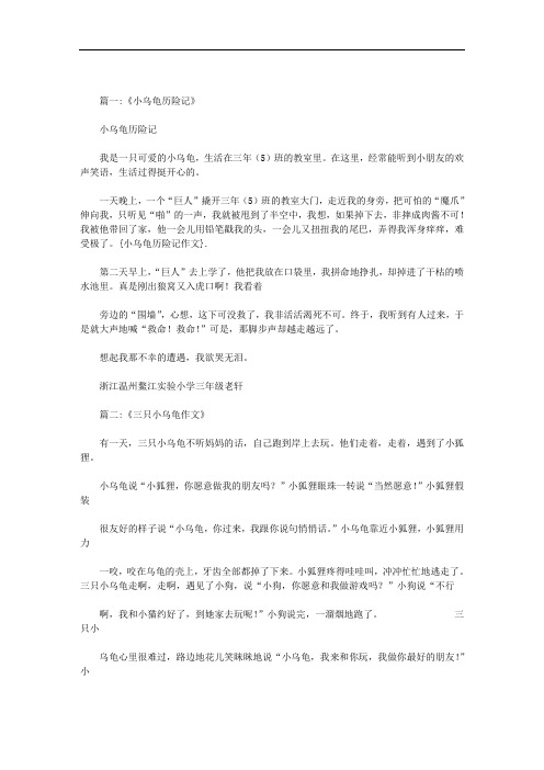 小乌龟历险记作文范文