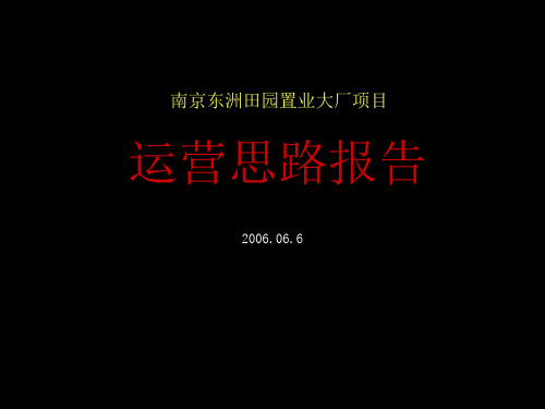 大厂商业项目运营思路报告终