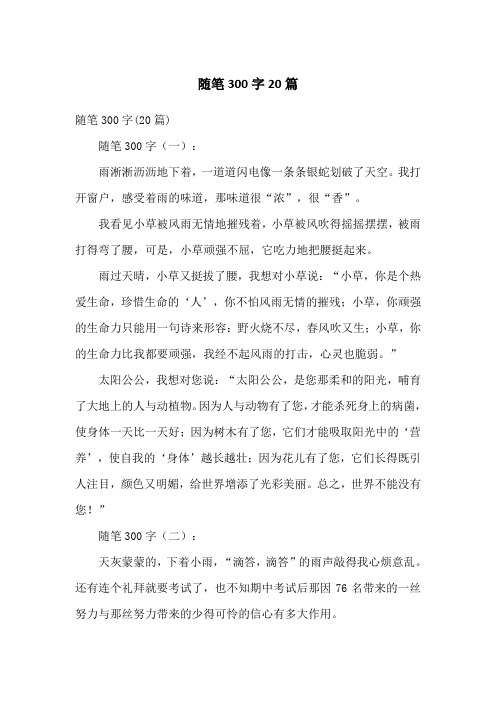 随笔300字20篇