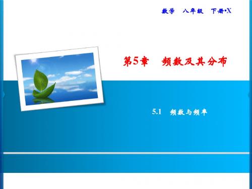 湘教版八年级下册数学习题课件：第5章 5.1 频数与频率