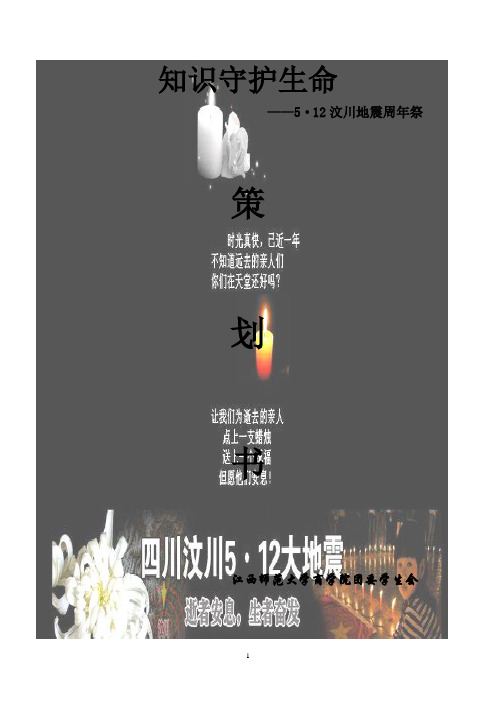 5·12地震周年纪念策划书