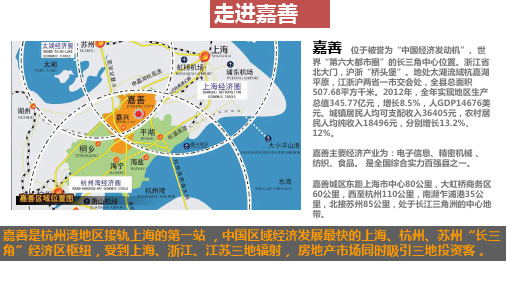 嘉善某商业项目调研分析报告