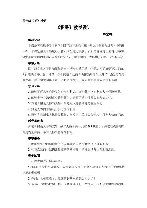苏教版小学科学四年级下册  骨骼-“黄冈赛”一等奖