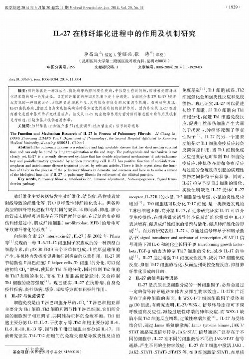 IL-27在肺纤维化进程中的作用及机制研究