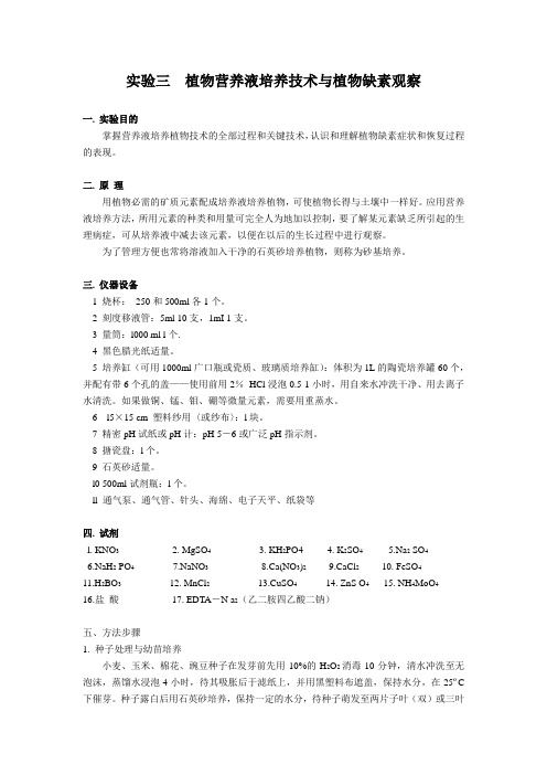 实验三 植物营养液培养技术与植物缺素观察