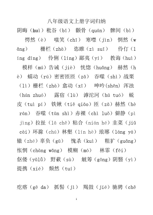 河大版语文八年级上字词梳理
