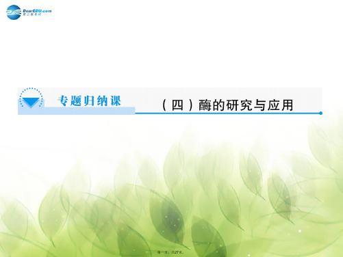 高中生物 专题4专题4 酶的研究与应用专题归纳课件 苏教版选修1