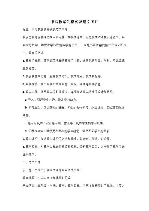 书写教案的格式及范文图片