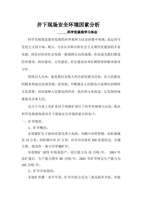 调研报告Microsoft Word 文档