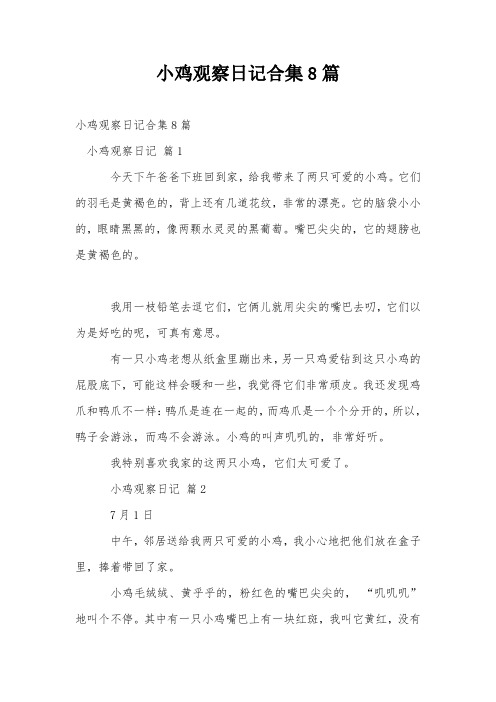 小鸡观察日记合集8篇