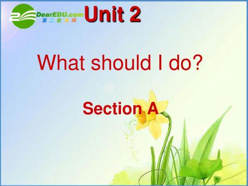 新目标八年级下英语_unit2_what_should_I_doSectionA