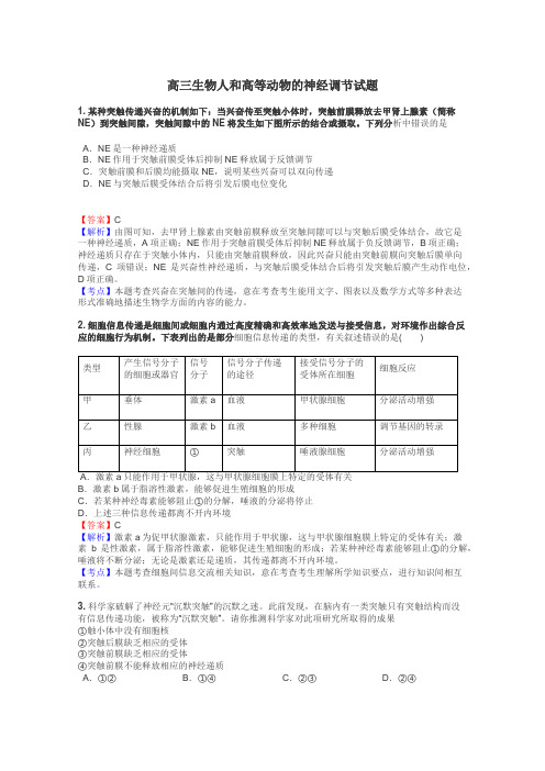 高三生物人和高等动物的神经调节试题
