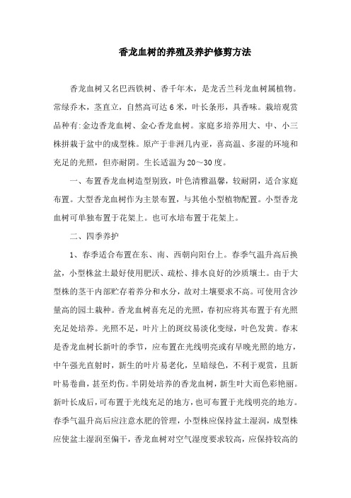 香龙血树的养殖及养护修剪方法