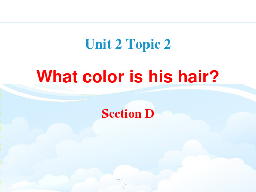 《What color is his hair》SectionD ppt课件
