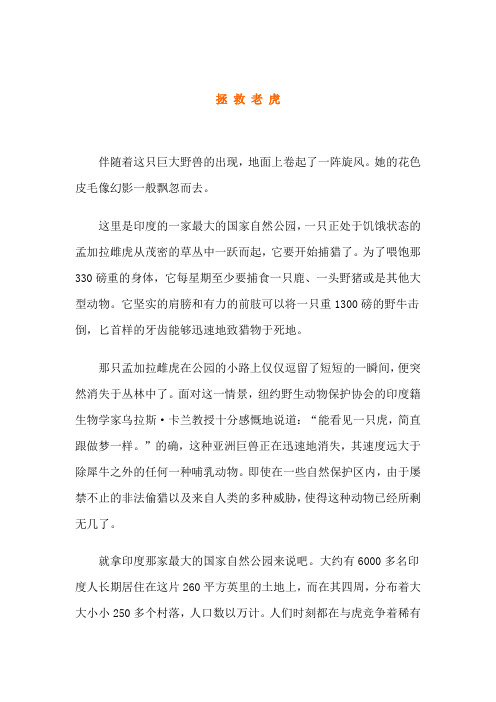【课外阅读】拯救老虎