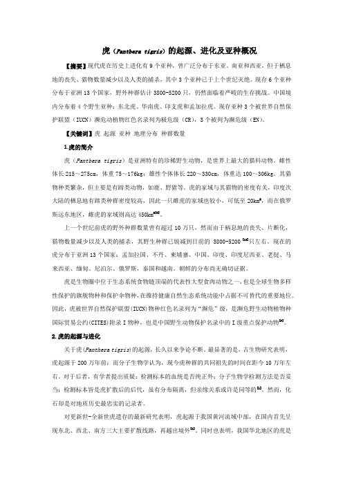虎的起源进化及亚种概况