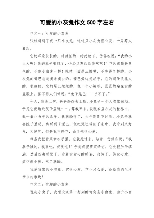 可爱的小灰兔作文500字左右_作文