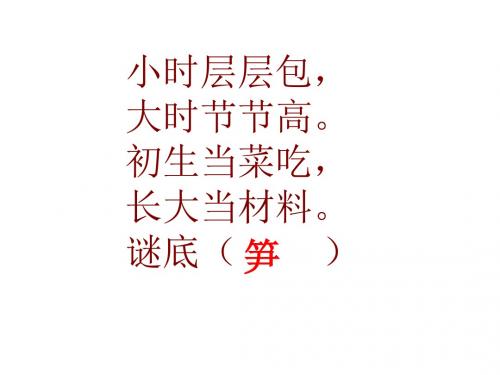 《笋芽儿》ppt课件
