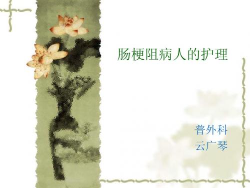 肠梗阻病人的护理