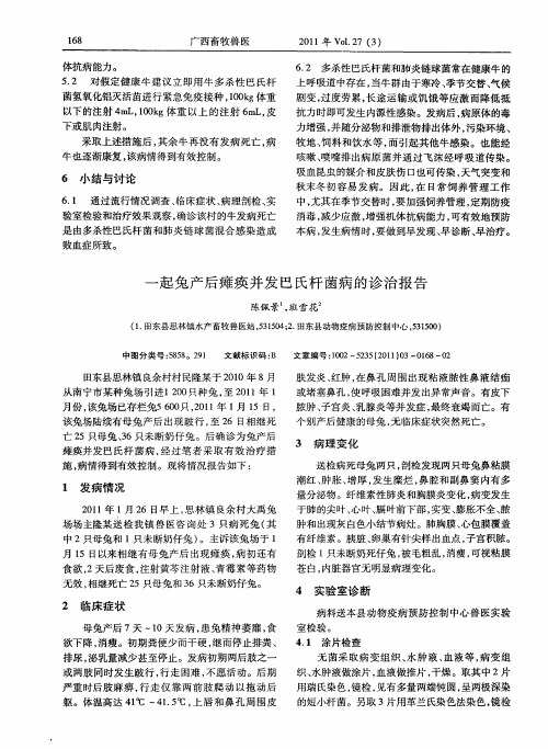 一起兔产后瘫痪并发巴氏杆菌病的诊治报告