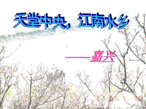 嘉兴