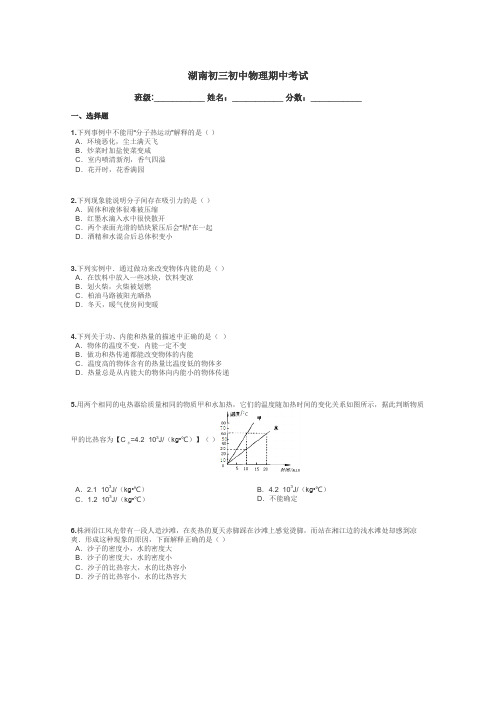 湖南初三初中物理期中考试带答案解析
