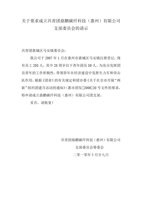 成立共青团组织请示