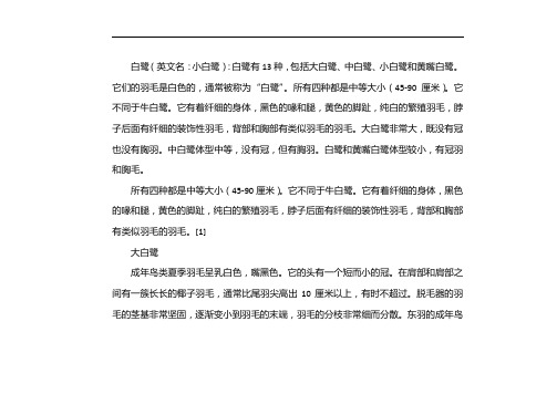 白鹭的思维导图