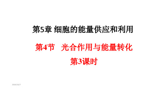 新教材高中生物 光合作用与能量转化 课件【新教材】人教版(2019)高中生物必修一