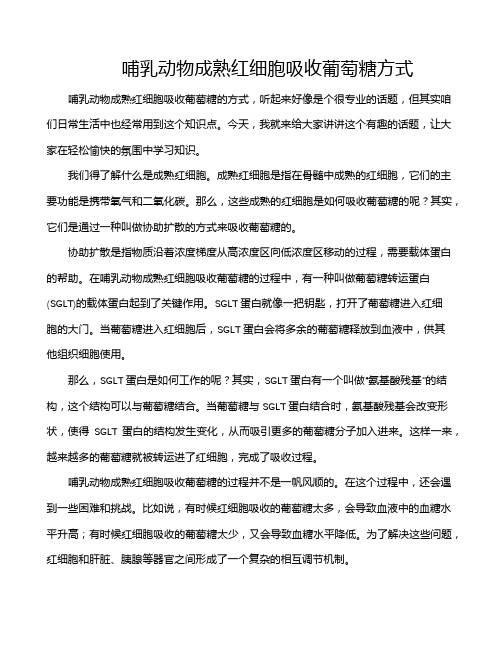 哺乳动物成熟红细胞吸收葡萄糖方式