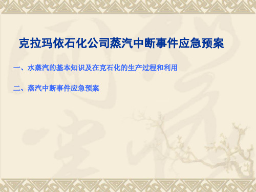 培训资料(蒸汽中断应急预案)