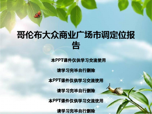 哥伦布大众商业广场市调定位报告