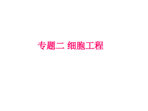 植物细胞工程高三生物一轮复习