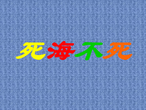综合实践活动《死海不死》课件 